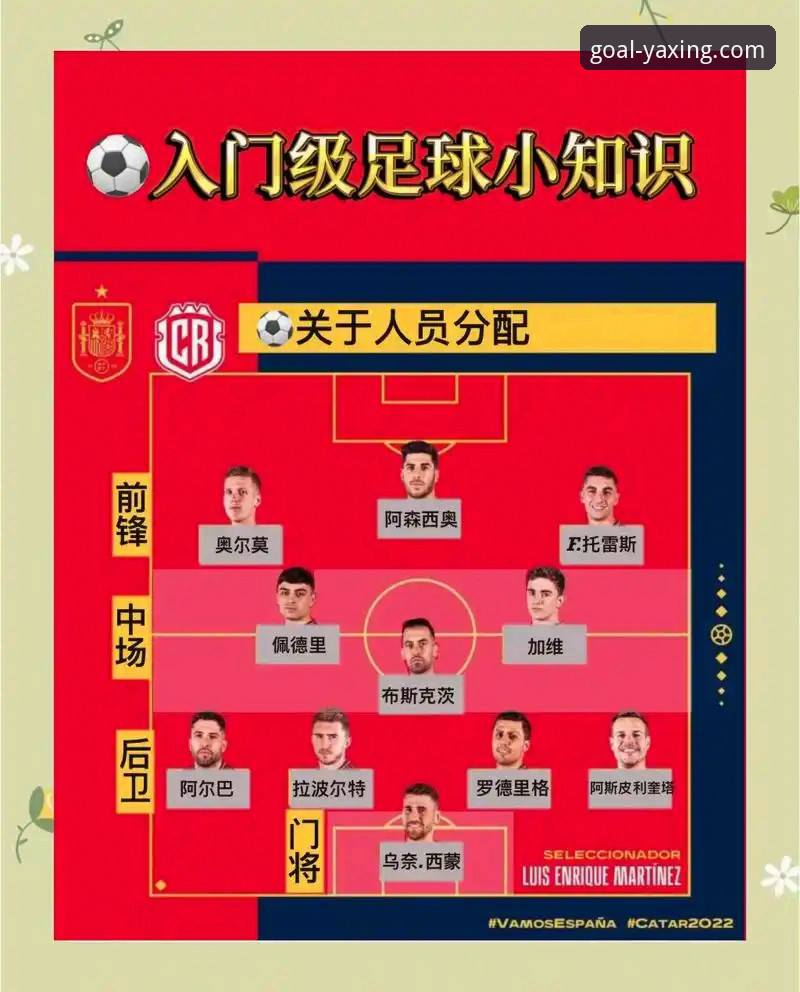 亚星体育实时比分使用教程：从入门到精通的高效操作指南